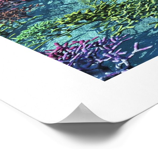 POSTER IMPRIMER LA CHANSON DE BALEINE (Coin)