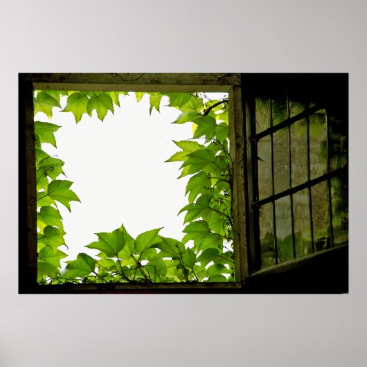 Poster Imprimer la fenêtre (Devant)