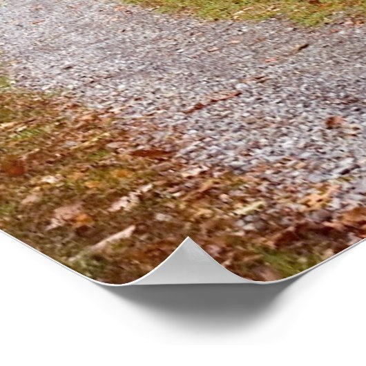 Poster Imprimer la route d'automne (Coin)