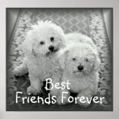 Poster Imprimer l'affiche Best Friends Forever (Devant)