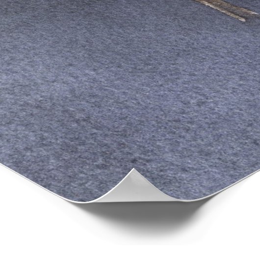 Poster Imprimer l'affiche Bluebird (Coin)