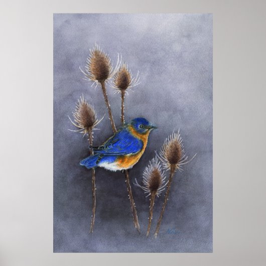 Poster Imprimer l'affiche Bluebird (Devant)