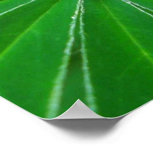 Poster Imprimer l'affiche Green Energy (Coin)