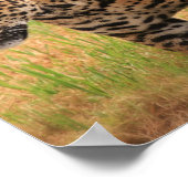 Poster Imprimer l'affiche Jaguar (Coin)
