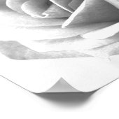 Poster Imprimer l'affiche rose (Coin)