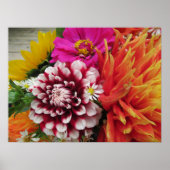 Poster Imprimer l'affiche Vivid Dahlias et Zinnias (Devant)
