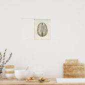 Poster Imprimer l'anatomie du cerveau humain (Cuisine)