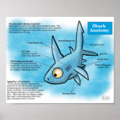 Poster Imprimer l'anatomie du requin (Devant)