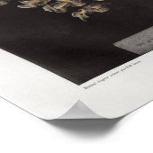 Poster Imprimer l'anatomie Vintage du crâne humain 1867 (Coin)