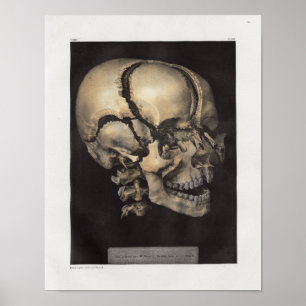 Poster Imprimer l'anatomie Vintage du crâne humain 1867