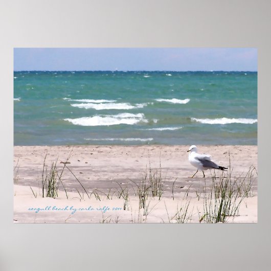 Poster Imprimer l'aquarelle de plage Seagull (Devant)