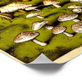 Poster Imprimer l'art des champignons vintages (Coin)