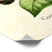 Poster Imprimer l'art des colibris de Costa (Coin)