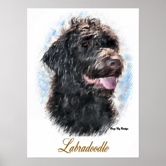 Poster Imprimer l'art Labradoodle (Devant)