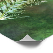 Poster Imprimer l'art photographique Foxtail vert (Coin)