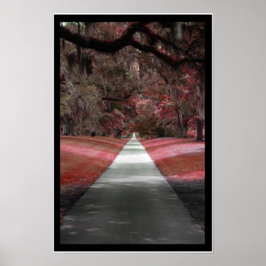 Poster Imprimer le chemin (Devant)