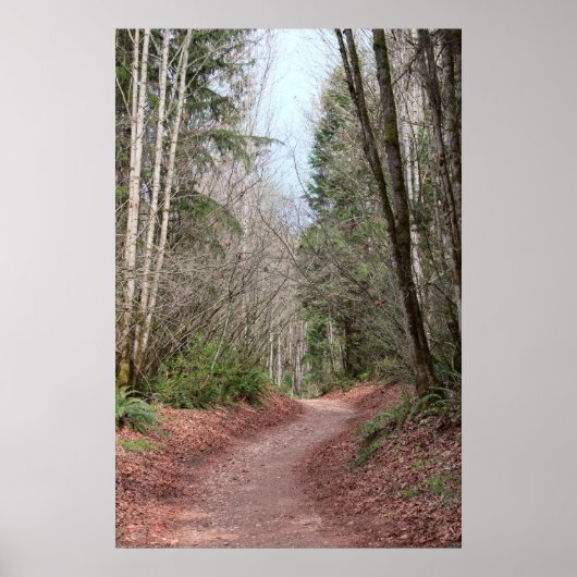 Poster Imprimer le chemin de ville rouge (Devant)