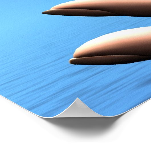 POSTER IMPRIMER LE GLOBE EARTH (Coin)