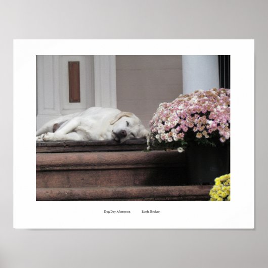 Poster Imprimer le jour du chien après-midi (Devant)
