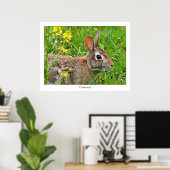 Poster Imprimer le lapin de coton (Bureau à domicile)