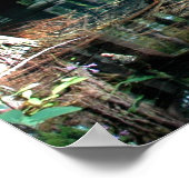 Poster Imprimer le petit bassin de printemps bleu (Coin)