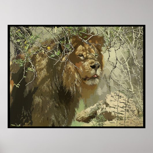 Poster Imprimer - Le Roi de la Jungle (Devant)
