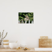 Poster Imprimer l'équilibrage des écureuils (Cuisine)