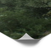 Poster Imprimer les arbres (Coin)