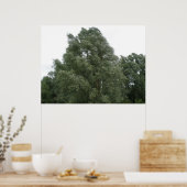 Poster Imprimer les arbres (Cuisine)