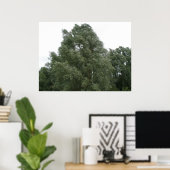 Poster Imprimer les arbres (Bureau à domicile)