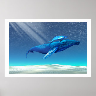 POSTER IMPRIMER LES BALEINES