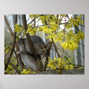 Poster Imprimer les boudins ratés