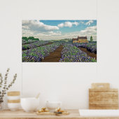 Poster Imprimer les champs Lavender (Cuisine)