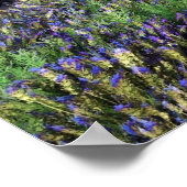 Poster Imprimer les champs Lavender (Coin)