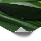 Poster Imprimer les lentilles de Calla Curvy (Coin)