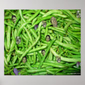 Poster Imprimer les têtes de haricot vert (Devant)