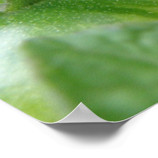 Poster Imprimer les tomates vertes (Coin)