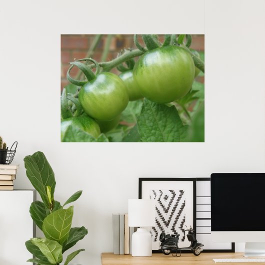 Poster Imprimer les tomates vertes (Bureau à domicile)
