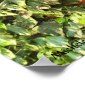 Poster Imprimer les vignes de fenêtre Adr (Coin)