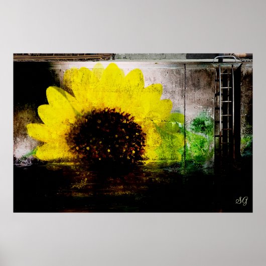 Poster Imprimer l'image de tournesol (Devant)