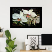 POSTER IMPRIMER L'ORCHID MAGIQUE DE MINUIT (Bureau à domicile)