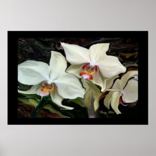 POSTER IMPRIMER L'ORCHID MAGIQUE DE MINUIT