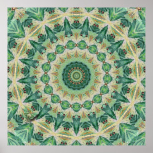 Poster Imprimer Luna Moth Kaleidoscope