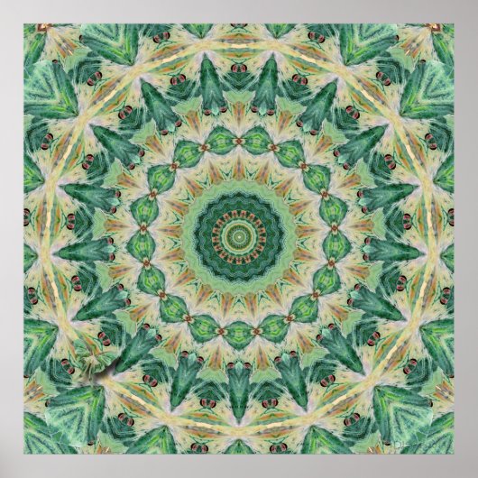 Poster Imprimer Luna Moth Kaleidoscope (Devant)