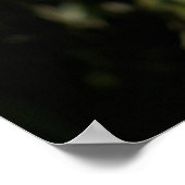 Poster Imprimer : Malayan Tiger (Coin)