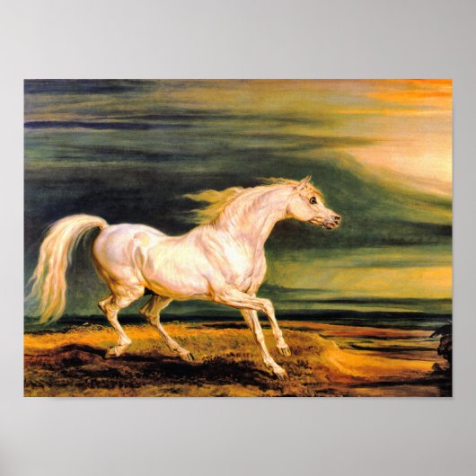 Poster Imprimer : Marengo de Napoléon (Devant)