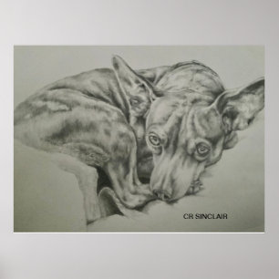 Poster Imprimer, Matte )MEET SAM par CR Sinclair