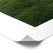 POSTER IMPRIMER MAYAN MYSTERY (Coin)