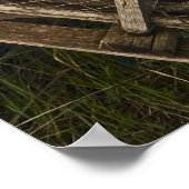 Poster Imprimer - North Rustico Light, Île-du-Prince-Édou (Coin)