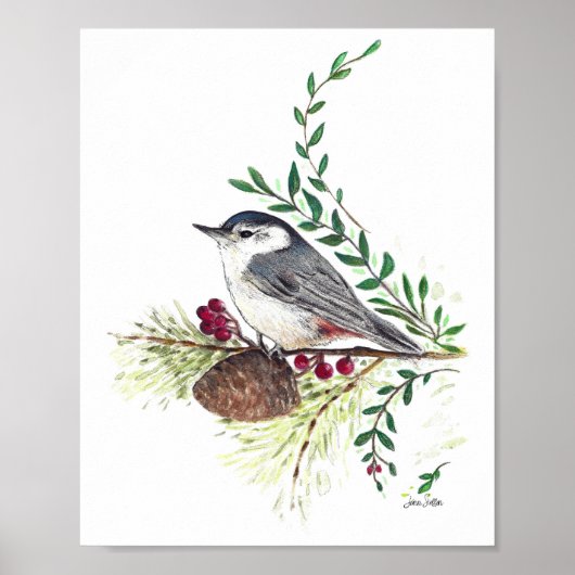 Poster Imprimer Nuthatch Bird (Devant)